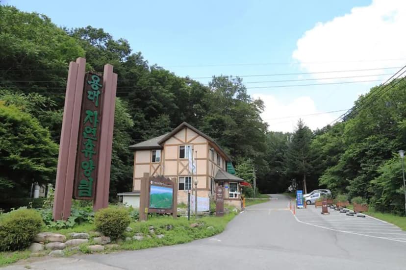 국립용대자연휴양림 사진 2