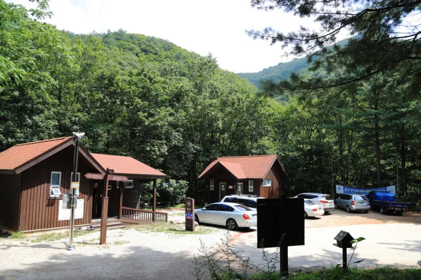 국립용대자연휴양림 사진 4