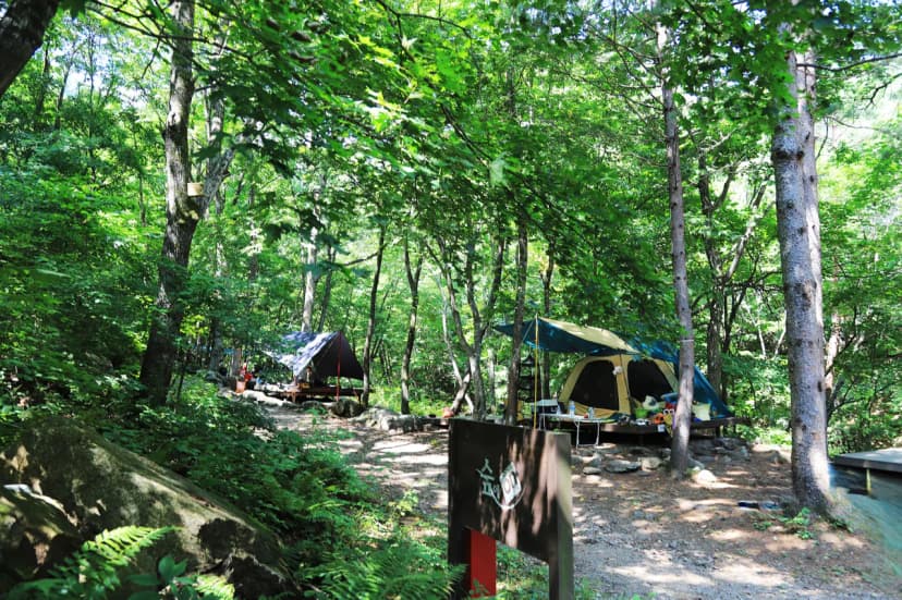 국립용대자연휴양림 사진 15