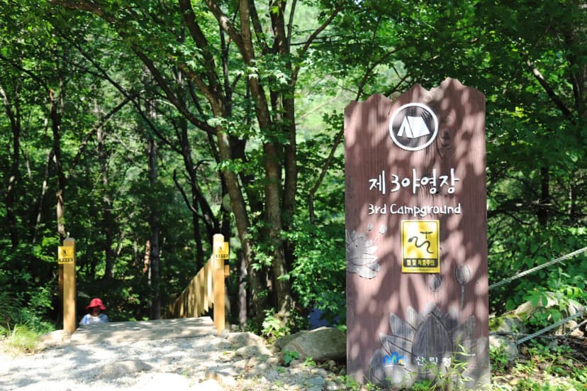 국립용대자연휴양림 사진 16