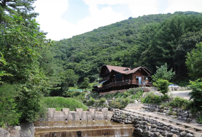 국립용대자연휴양림 사진 20