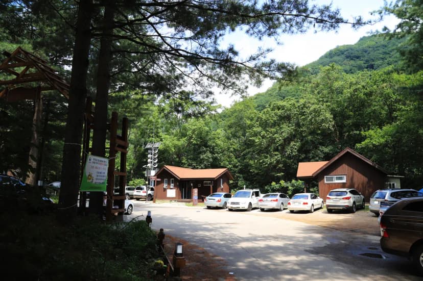 국립용대자연휴양림 사진 21