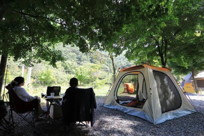 용두산오토캠핑장 사진 2
