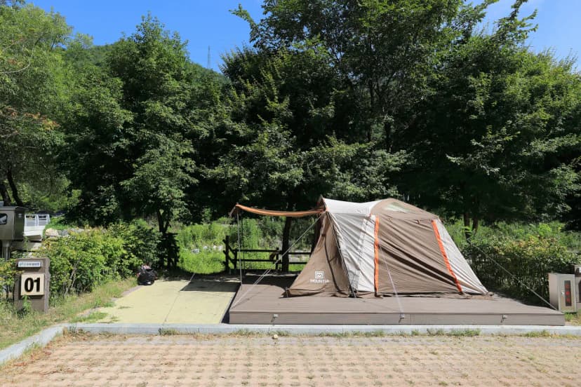 용두산오토캠핑장 사진 10