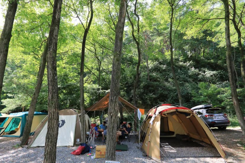 용두산오토캠핑장 사진 14