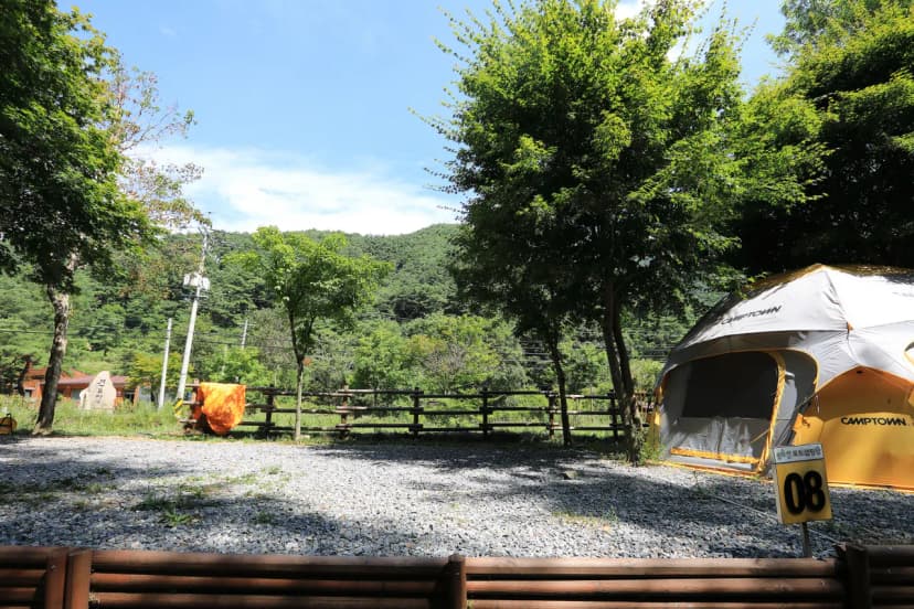 용두산오토캠핑장 사진 15