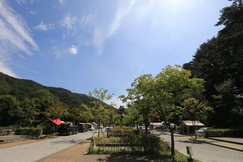 용두산오토캠핑장 사진 16