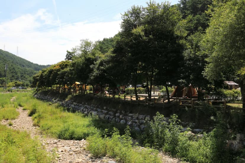 용두산오토캠핑장 사진 17