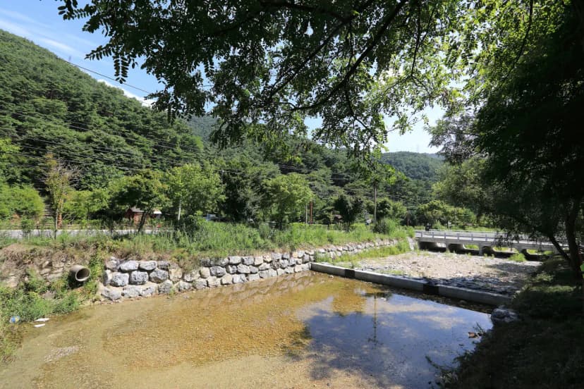 용두산오토캠핑장 사진 18