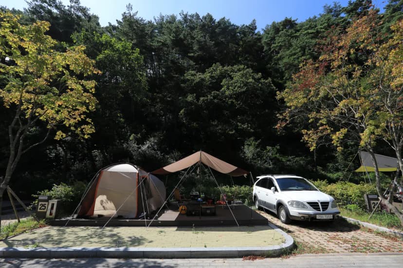 용두산오토캠핑장 사진 21