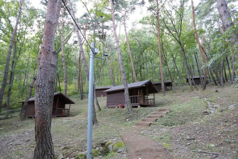 계명산자연휴양림 야영장 사진 2