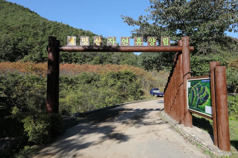 계명산자연휴양림 야영장 사진 3