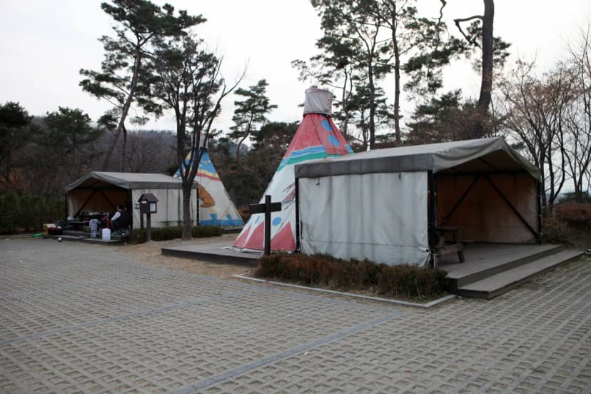 용인자연휴양림 사진 3