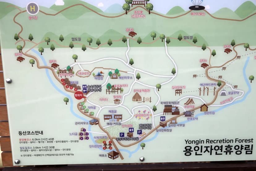 용인자연휴양림 사진 6