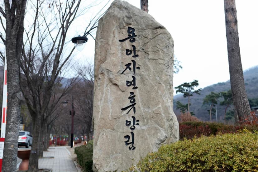 용인자연휴양림 사진 8