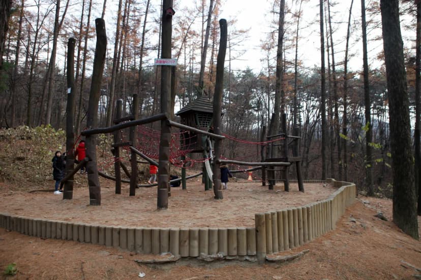 용인자연휴양림 사진 11