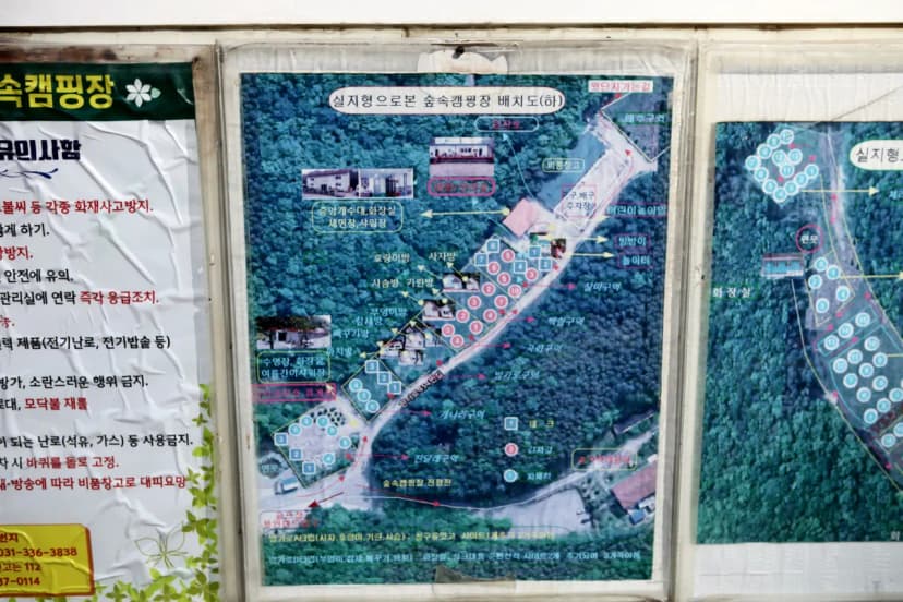 용인랜드 숲속캠핑장 사진 2