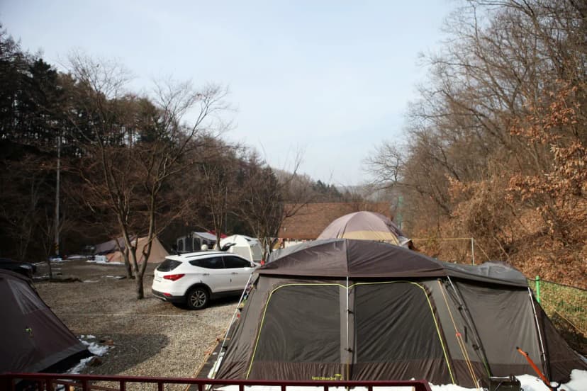 용인랜드 숲속캠핑장 사진 17