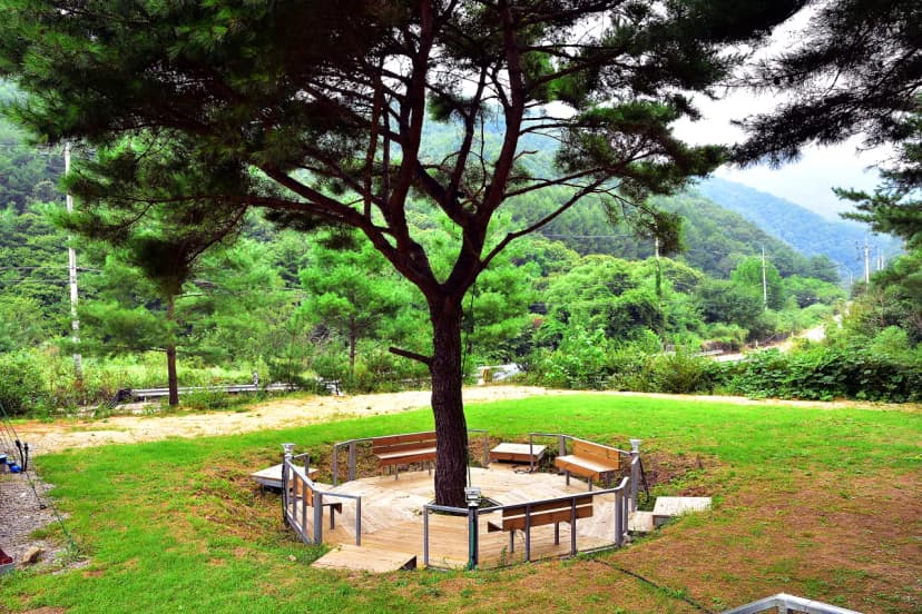 우리 캠핑장 사진 19