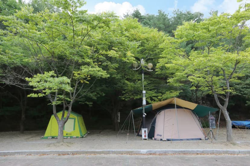 운문산군립공원 소머리 야영장 사진 12