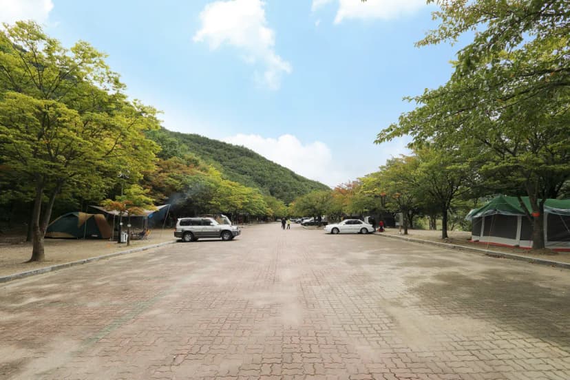 운문산군립공원 소머리 야영장 사진 17