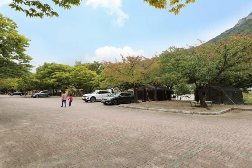 운문산군립공원 소머리 야영장 사진 19