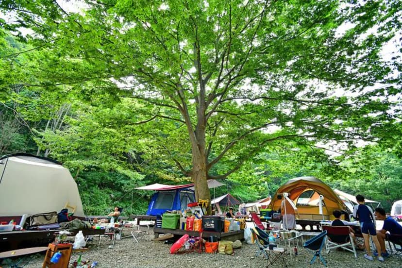 국립운장산자연휴양림 야영장 사진 2
