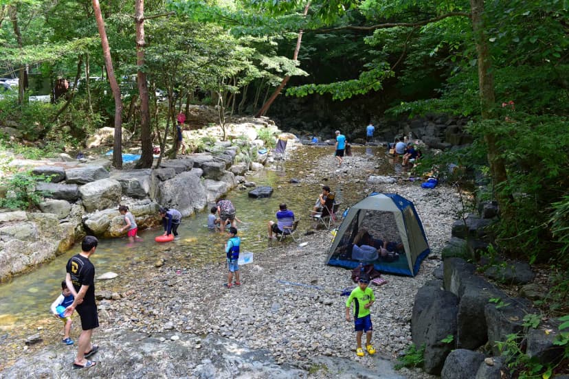 국립운장산자연휴양림 야영장 사진 5