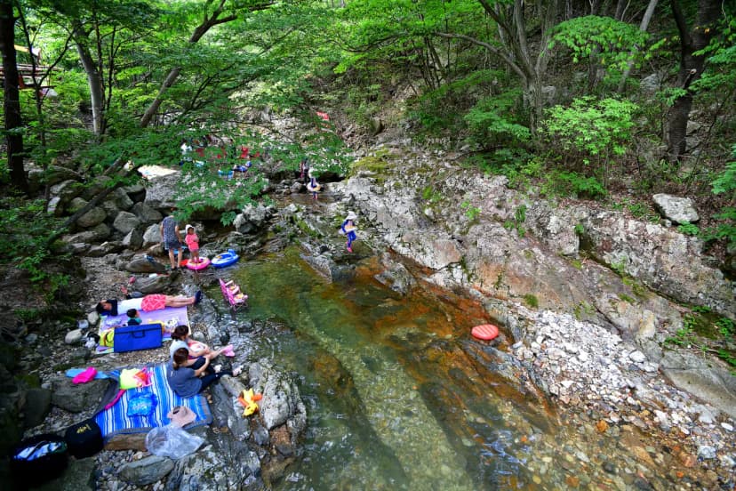 국립운장산자연휴양림 야영장 사진 16