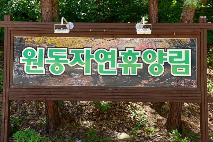 원동자연휴양림 사진 8