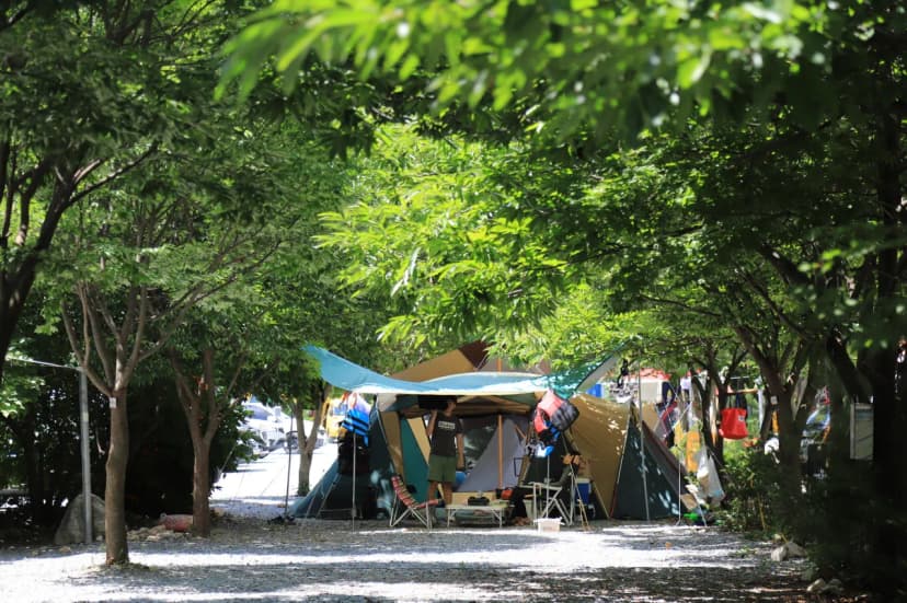 원주두리캠핑장 사진 17