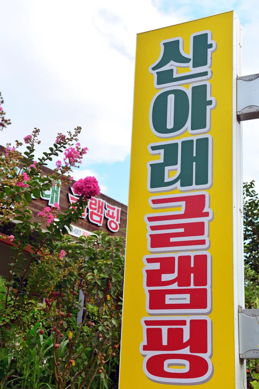 월성 산아래 글램핑 사진 12