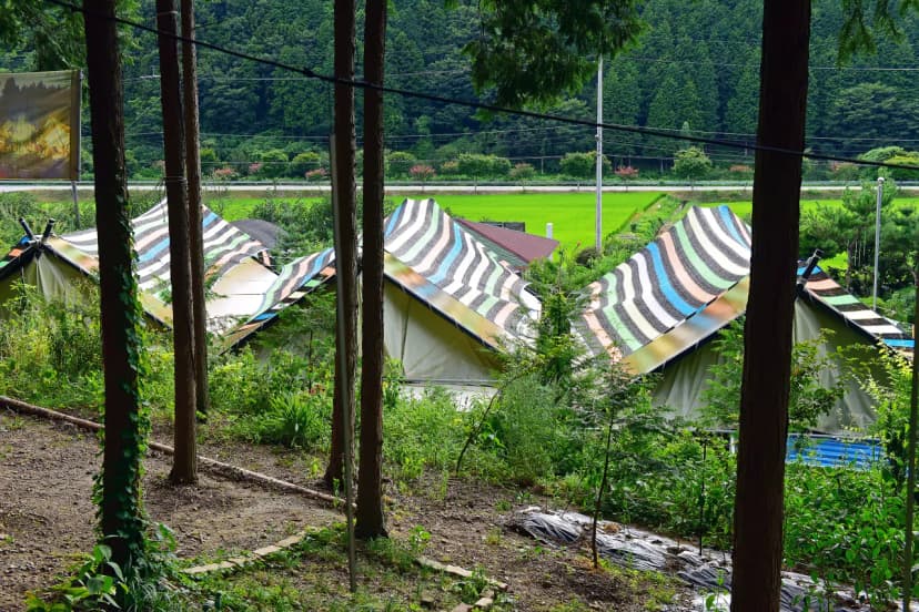 월성 산아래 글램핑 사진 14