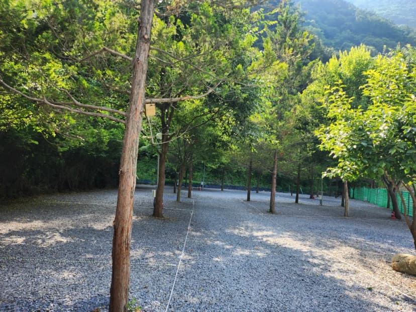 월악산레트로캠핑N민박 사진 20
