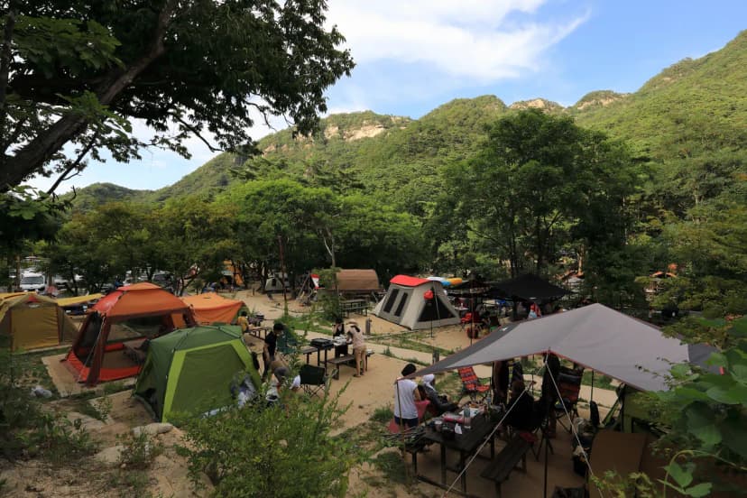 월악산국립공원 닷돈재자동차야영장 사진 3