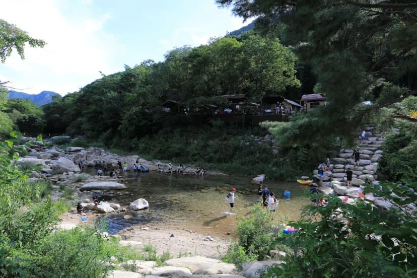월악산국립공원 닷돈재자동차야영장 사진 5