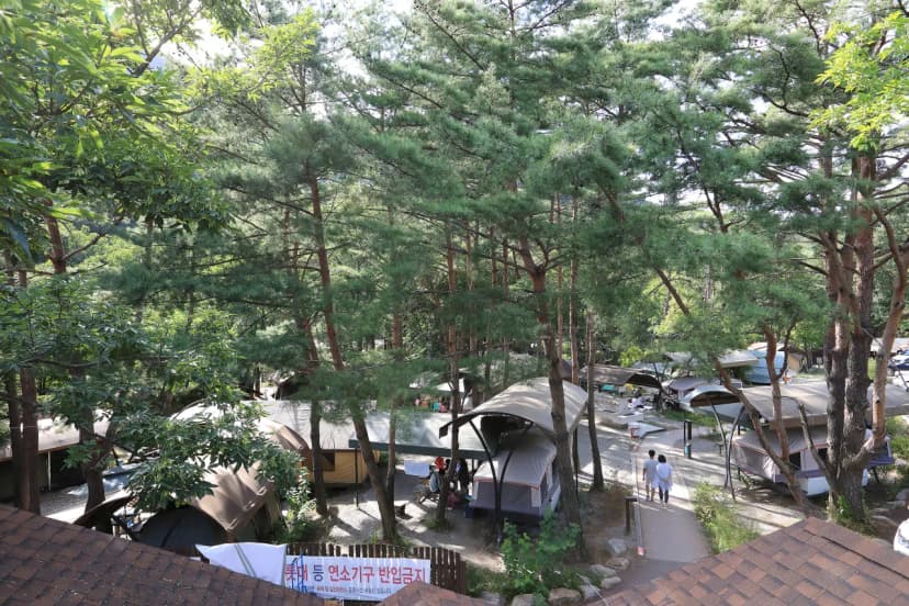 월악산국립공원 닷돈재자동차야영장 사진 8