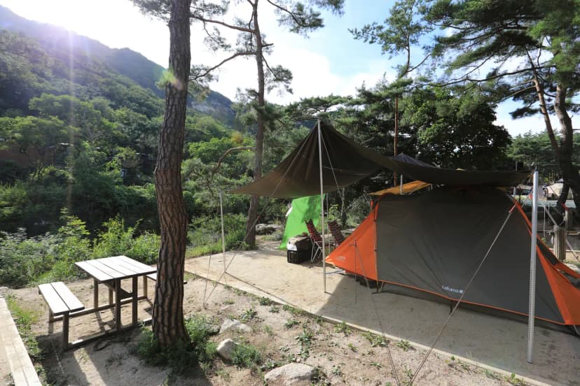 월악산국립공원 닷돈재자동차야영장 사진 9