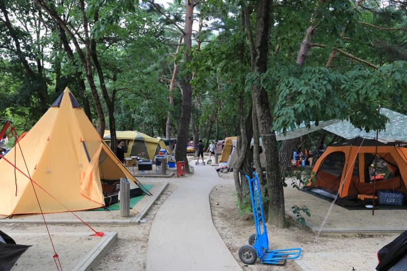 월악산국립공원 닷돈재자동차야영장 사진 10