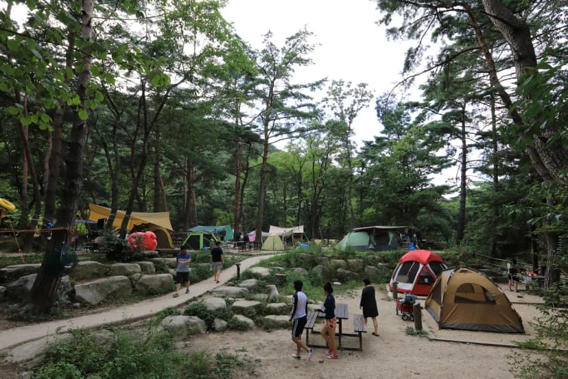 월악산국립공원 닷돈재자동차야영장 사진 11