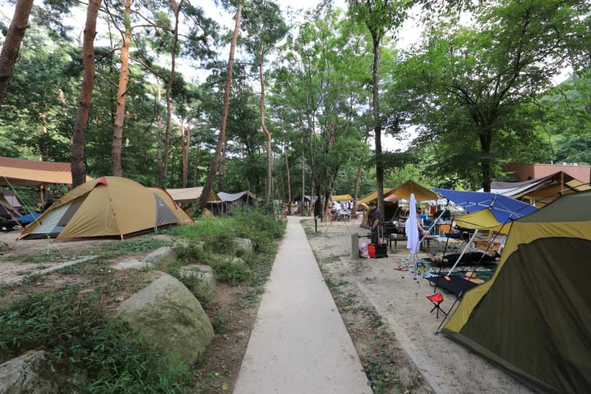 월악산국립공원 닷돈재자동차야영장 사진 12