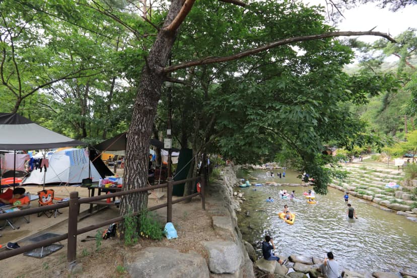월악산국립공원 닷돈재자동차야영장 사진 19