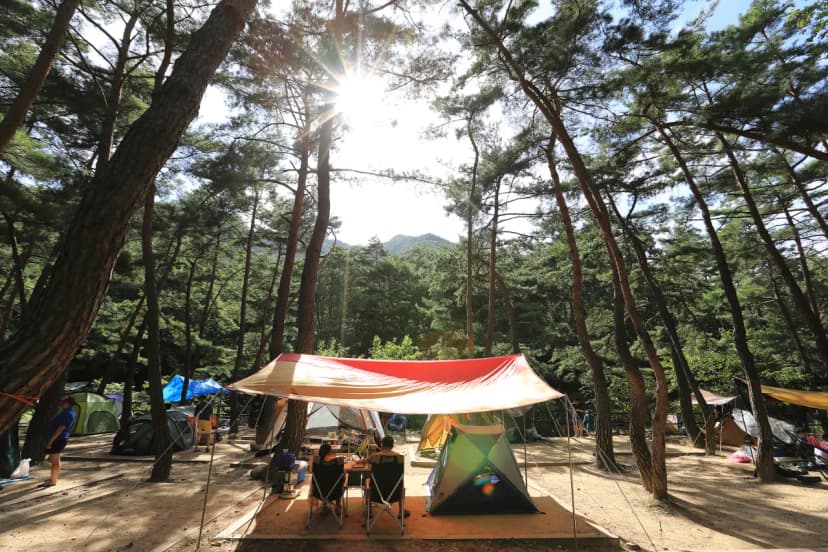 월악산국립공원 덕주야영장 사진 8