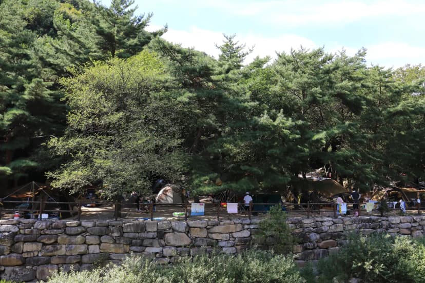 월악산국립공원 덕주야영장 사진 9
