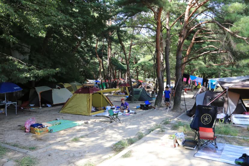 월악산국립공원 덕주야영장 사진 11