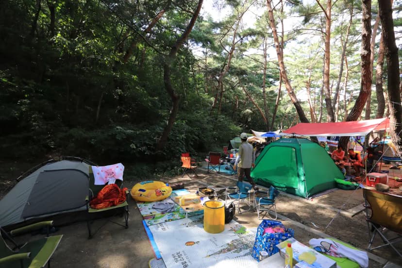 월악산국립공원 덕주야영장 사진 13