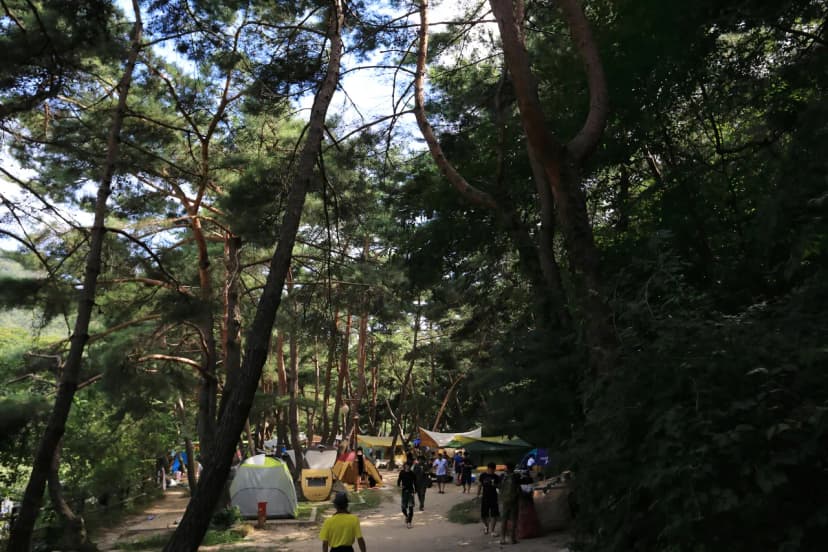 월악산국립공원 덕주야영장 사진 14
