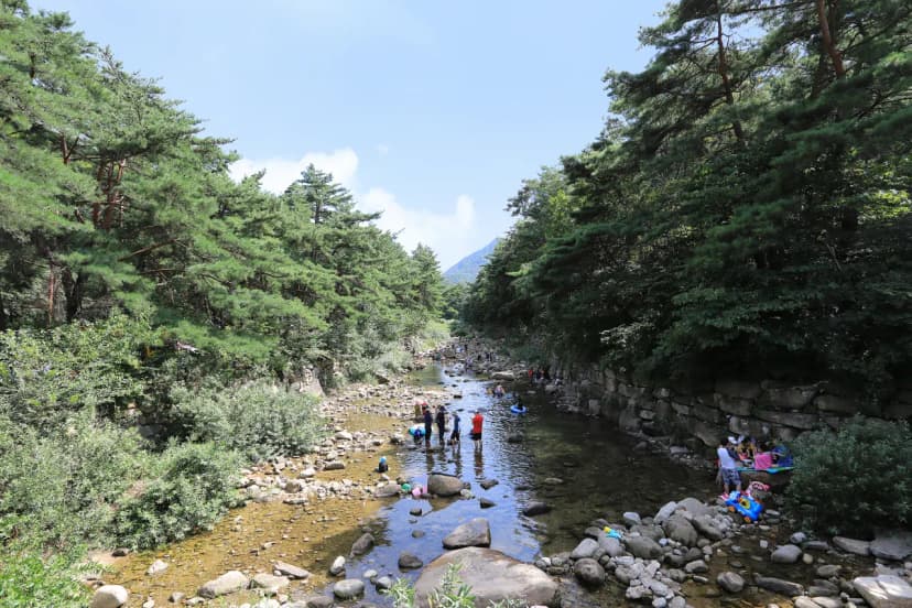 월악산국립공원 덕주야영장 사진 21