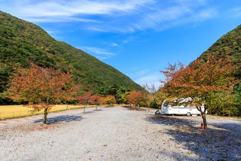 월악산억수솔밭캠핑장 사진 8