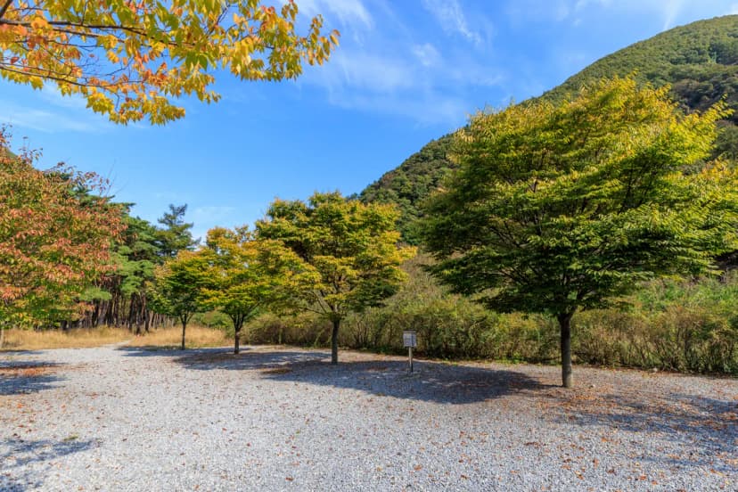 월악산억수솔밭캠핑장 사진 10